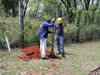 Articulo